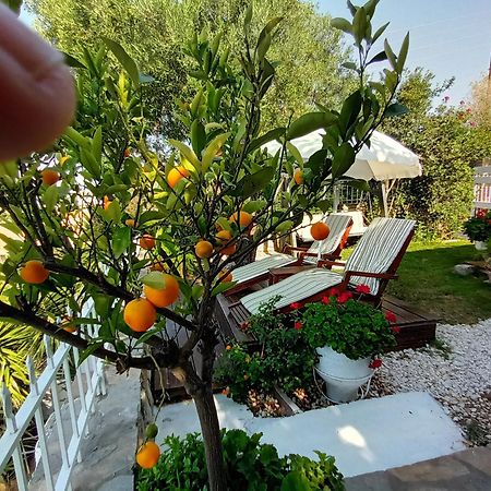 Nikos Stone House 80M From The Beach With Wifi Геракини Екстериор снимка