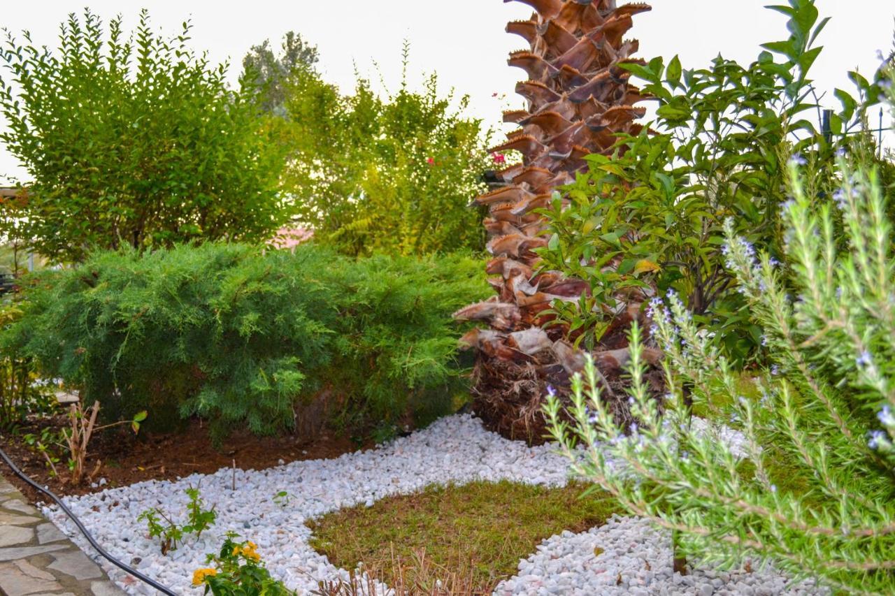 Nikos Stone House 80M From The Beach With Wifi Геракини Екстериор снимка