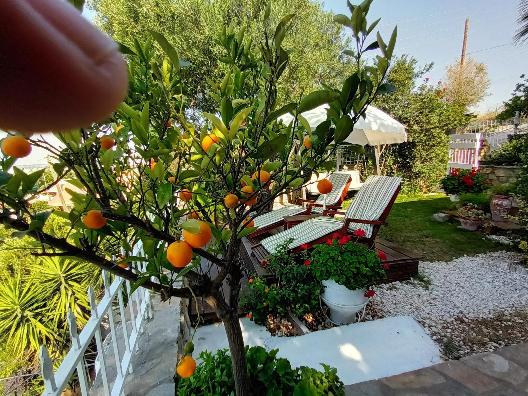 Nikos Stone House 80M From The Beach With Wifi Геракини Екстериор снимка